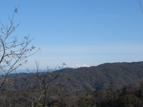 登山道脇鉄塔展望所